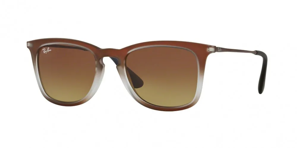 Ray-Ban 4221 Sunglasses