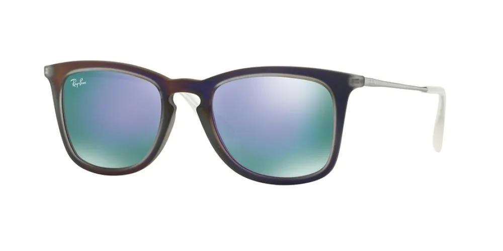 Ray-Ban 4221 Sunglasses