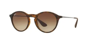 Ray-Ban 4243 Sunglasses