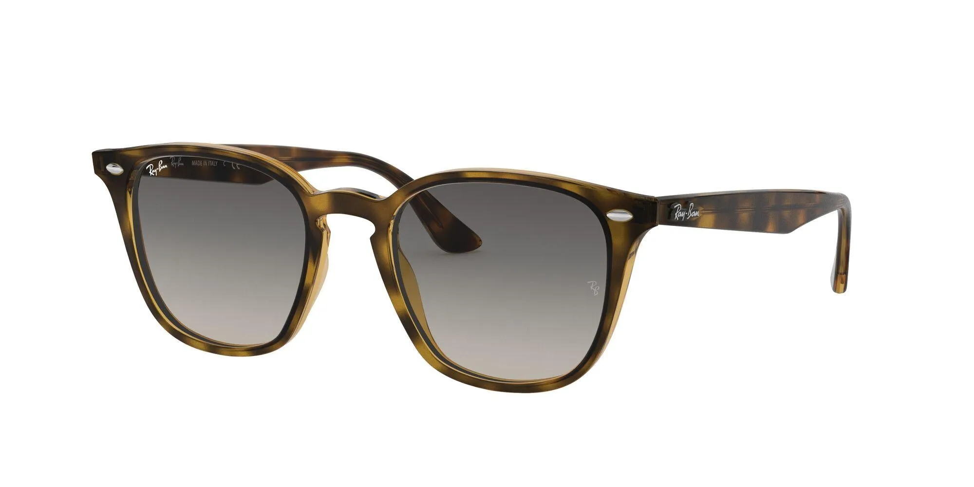 Ray-Ban 4258 Sunglasses
