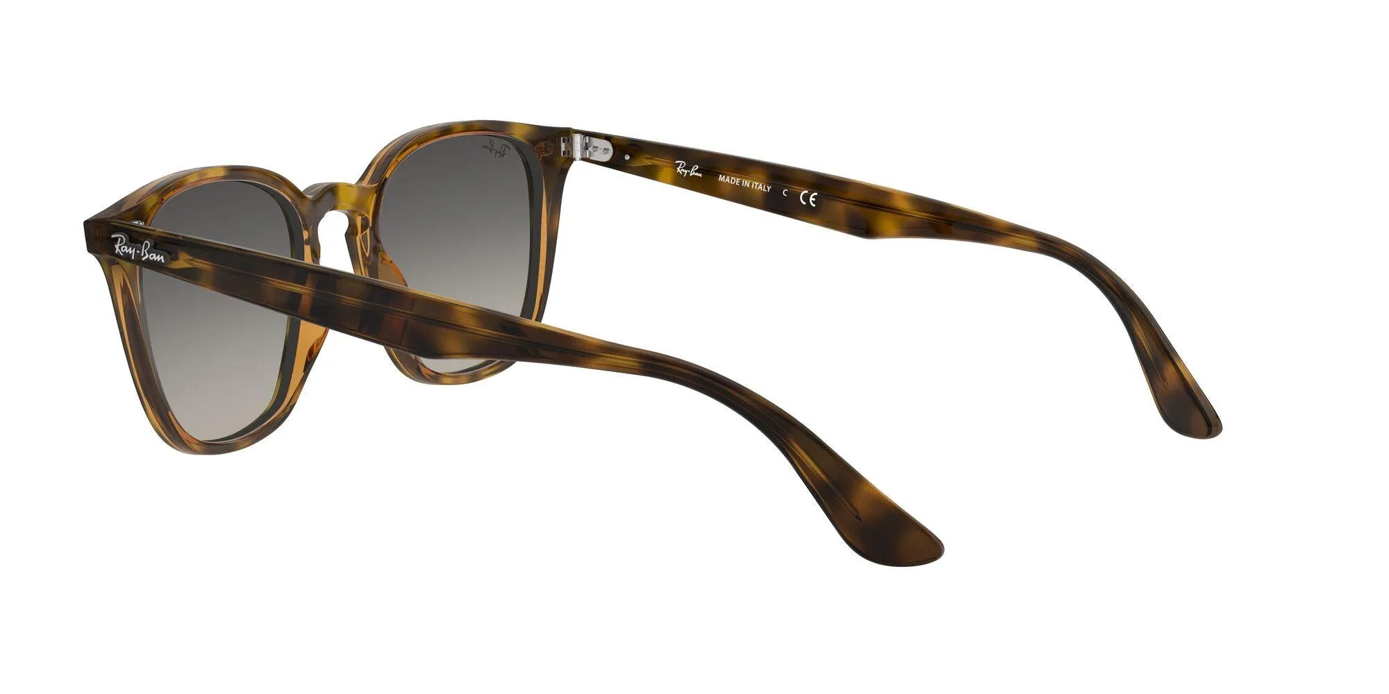 Ray-Ban 4258 Sunglasses