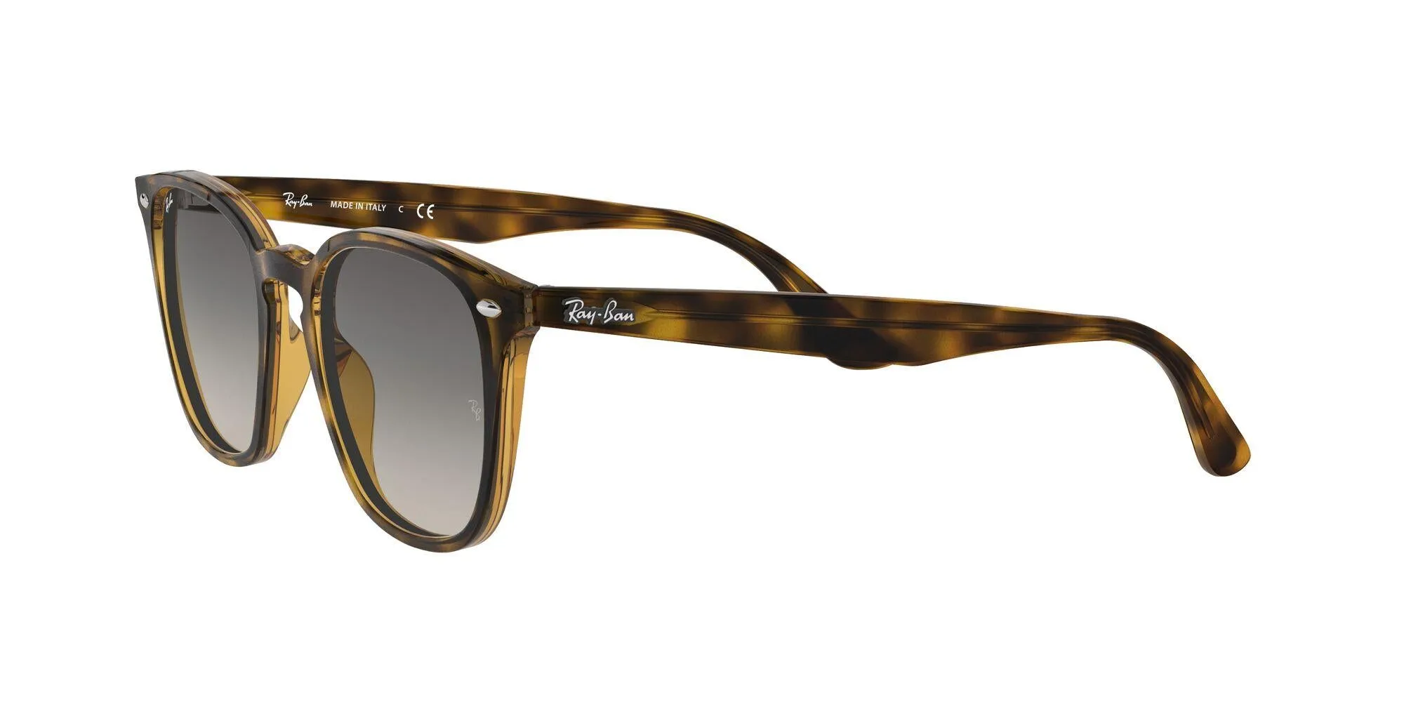 Ray-Ban 4258 Sunglasses