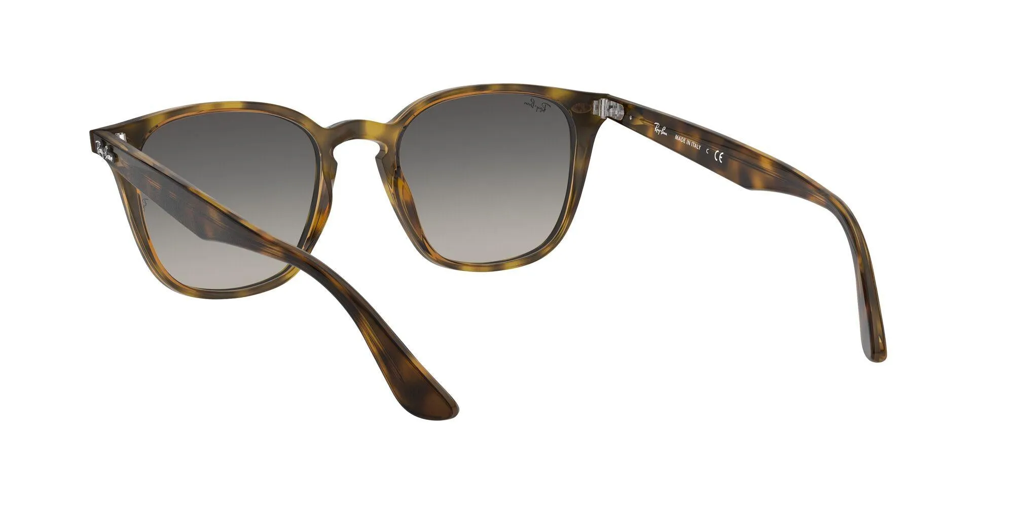 Ray-Ban 4258 Sunglasses