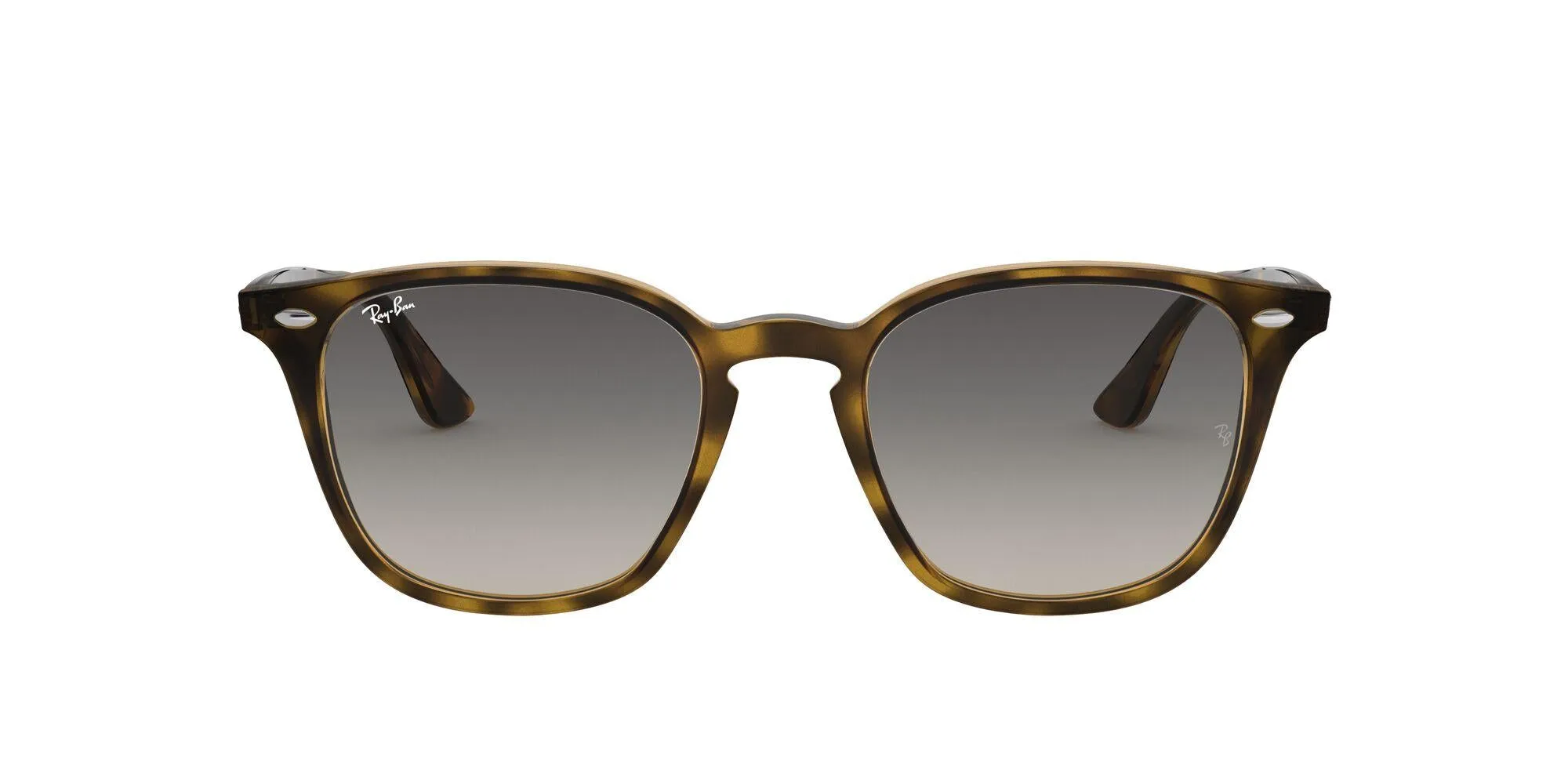 Ray-Ban 4258 Sunglasses