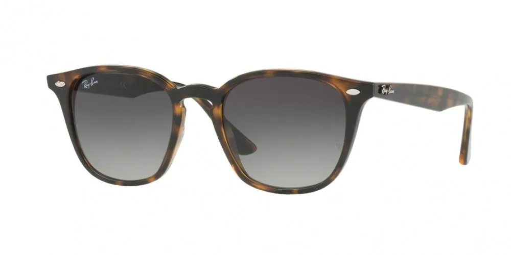 Ray-Ban 4258 Sunglasses