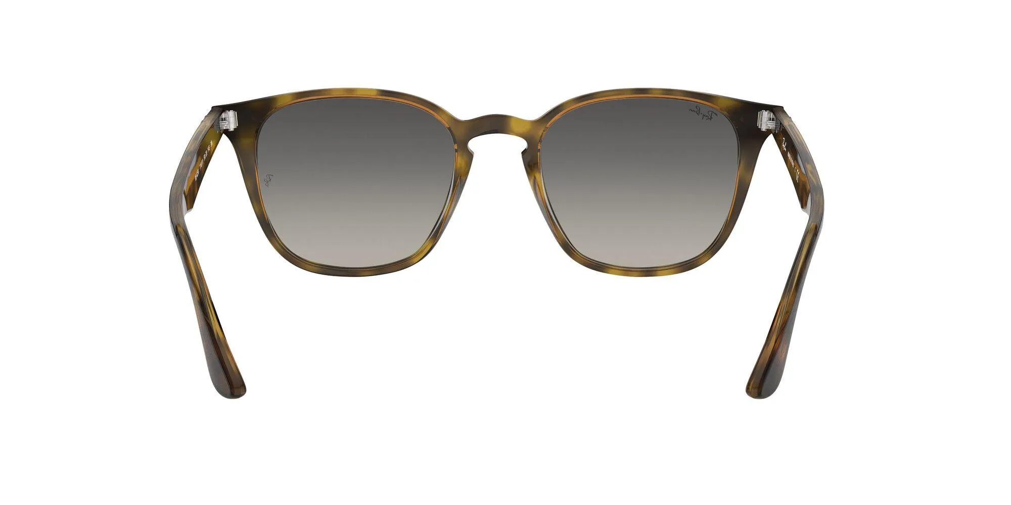 Ray-Ban 4258 Sunglasses