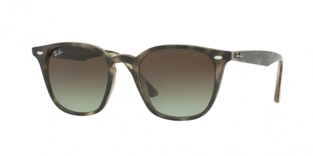 Ray-Ban 4258 Sunglasses