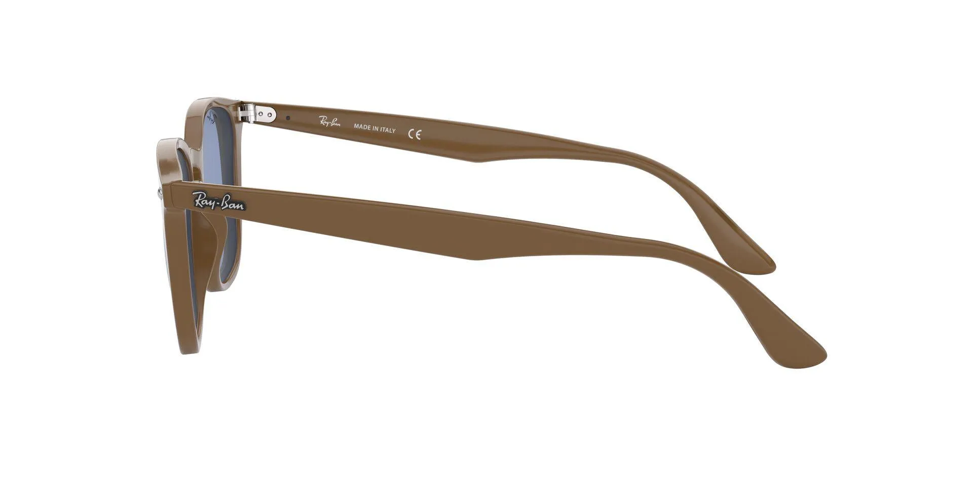 Ray-Ban 4258F Sunglasses