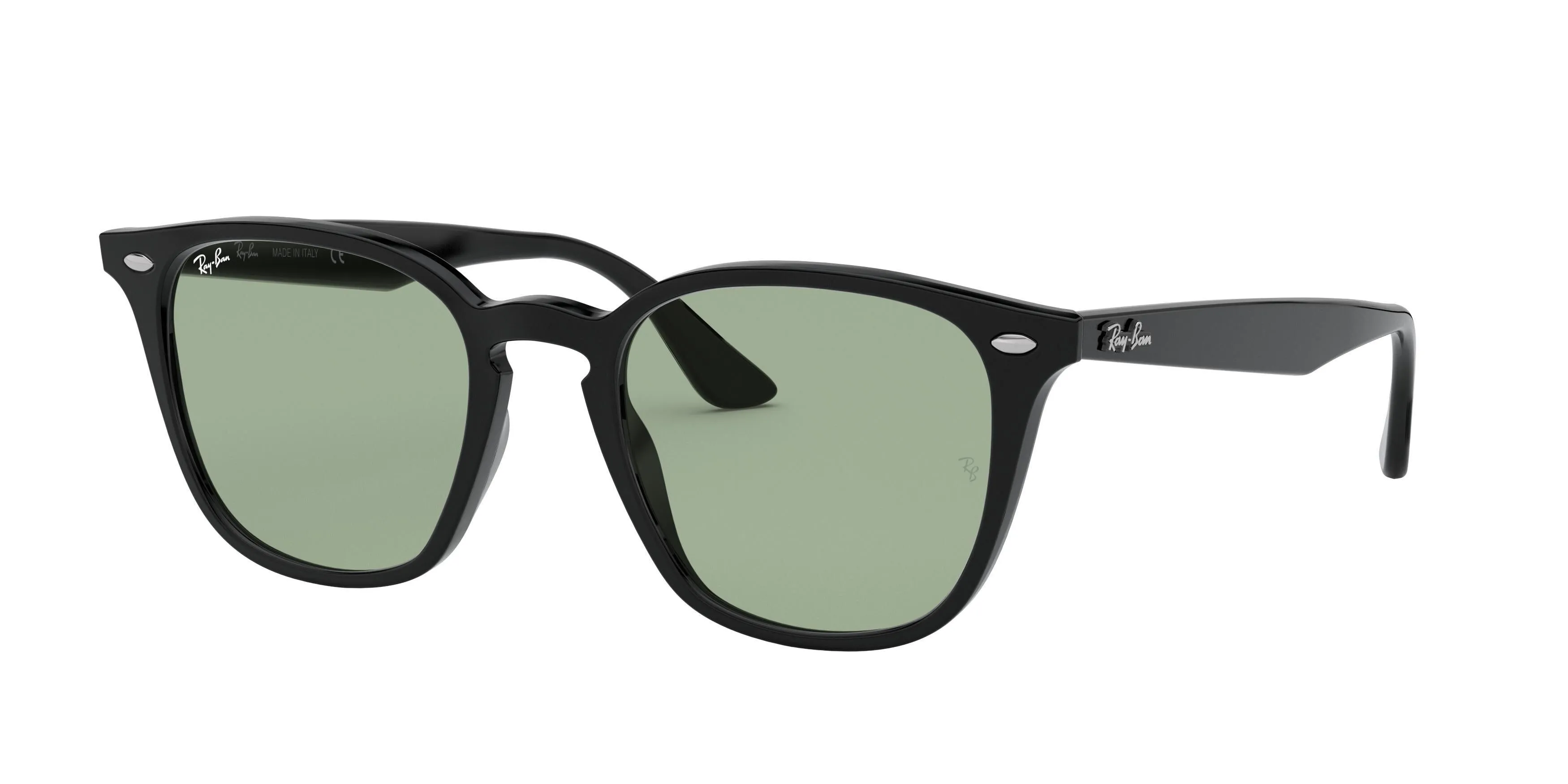 Ray-Ban 4258F Sunglasses