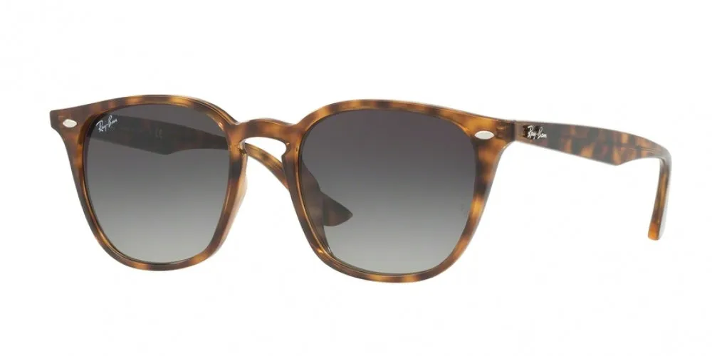 Ray-Ban 4258F Sunglasses