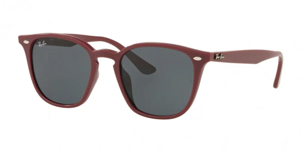 Ray-Ban 4258F Sunglasses