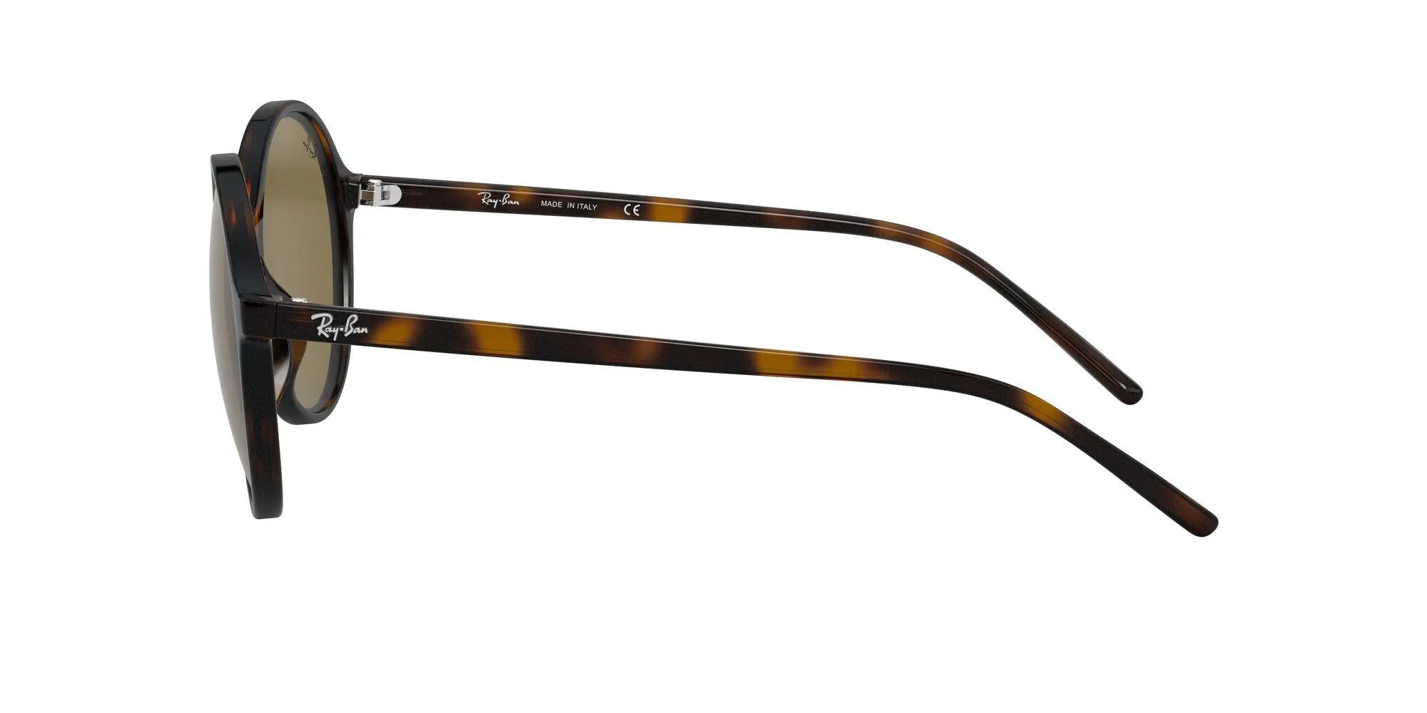 Ray-Ban 4304 Sunglasses