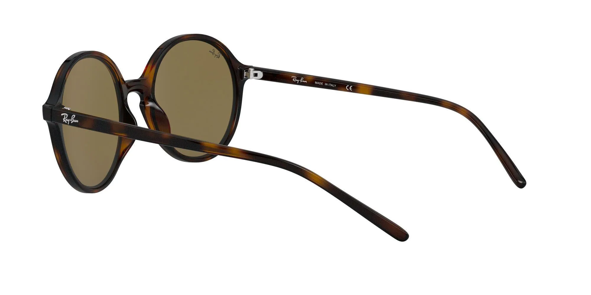 Ray-Ban 4304 Sunglasses