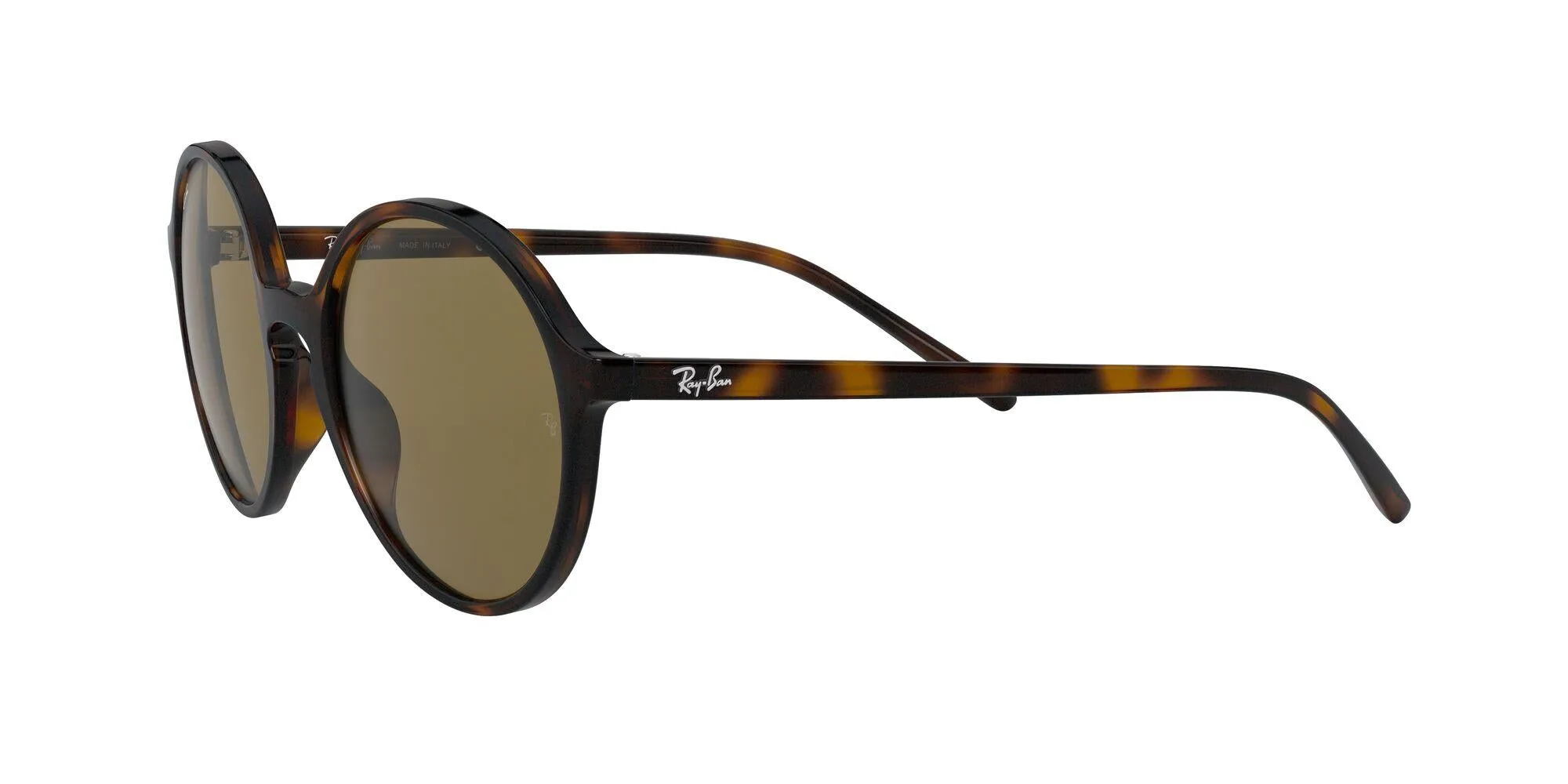 Ray-Ban 4304 Sunglasses