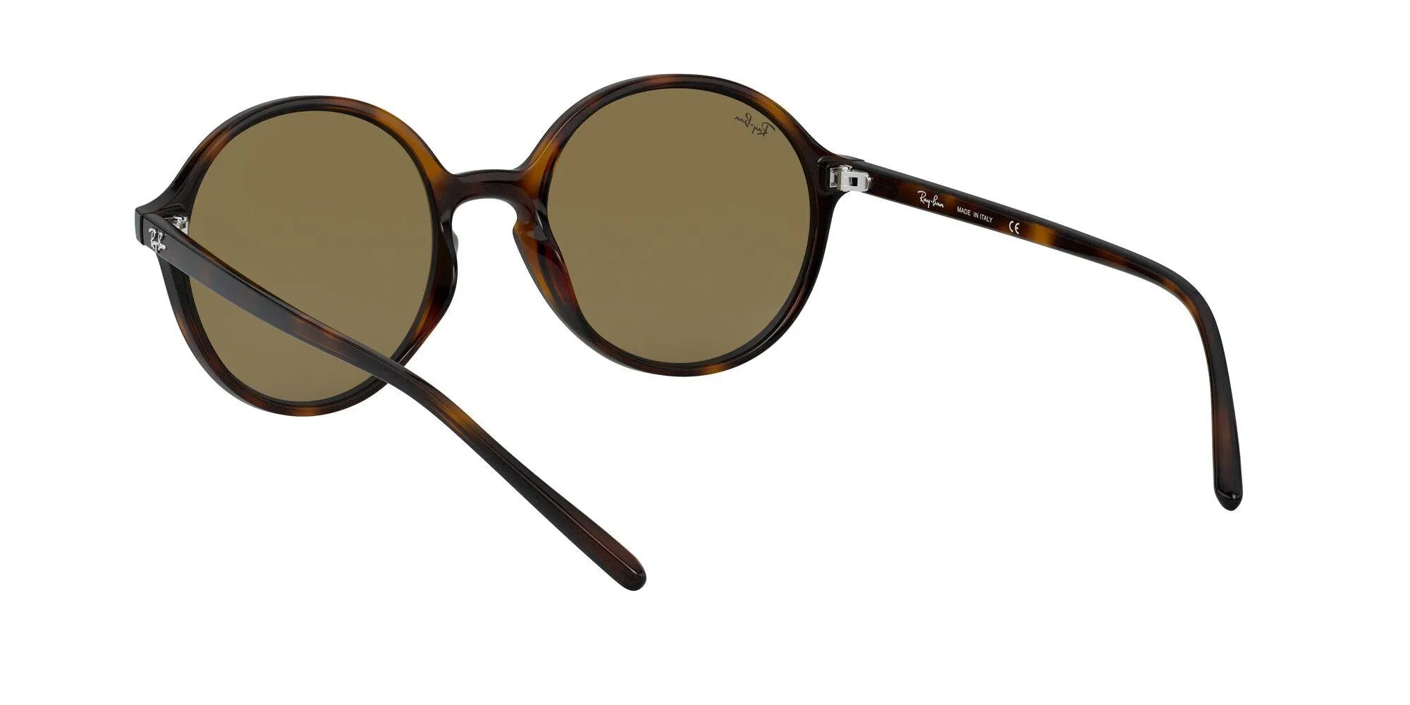 Ray-Ban 4304 Sunglasses