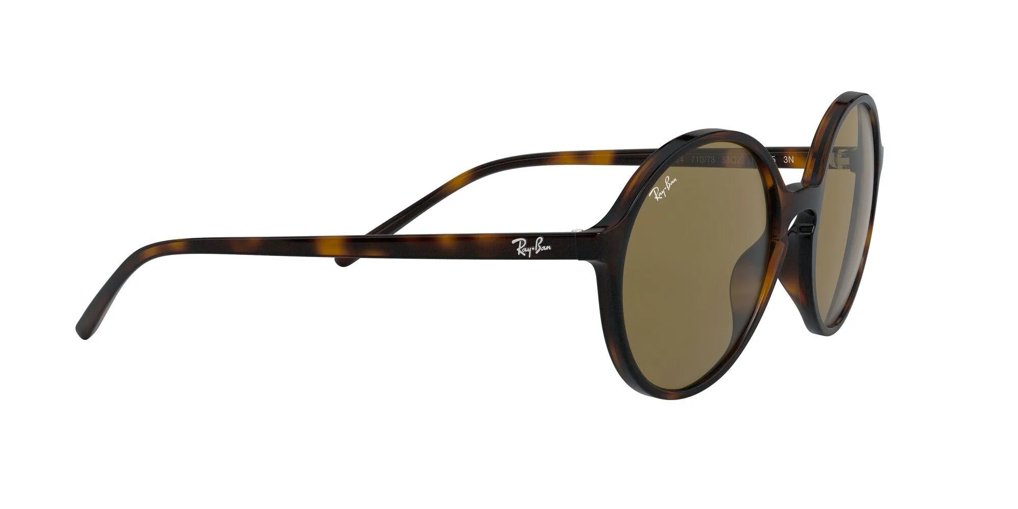 Ray-Ban 4304 Sunglasses
