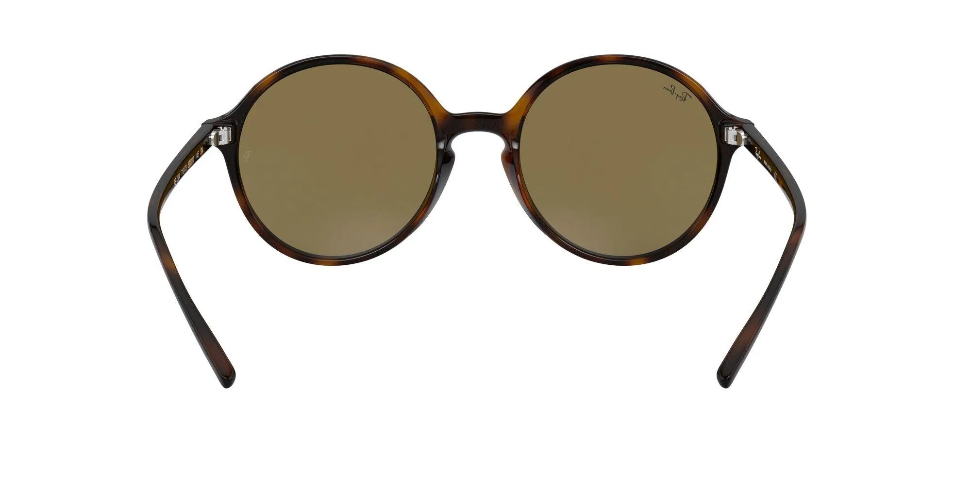 Ray-Ban 4304 Sunglasses