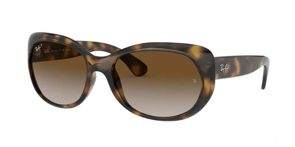 Ray-Ban 4325 Sunglasses
