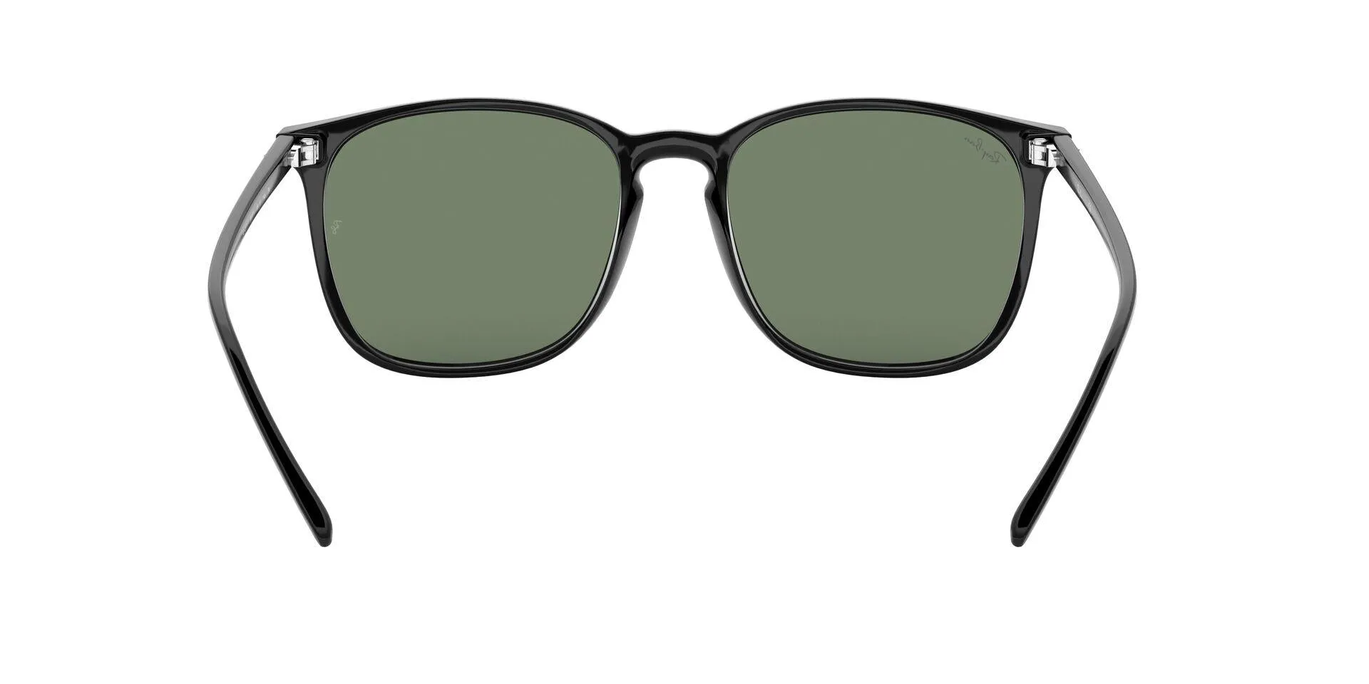 Ray-Ban 4387F Sunglasses