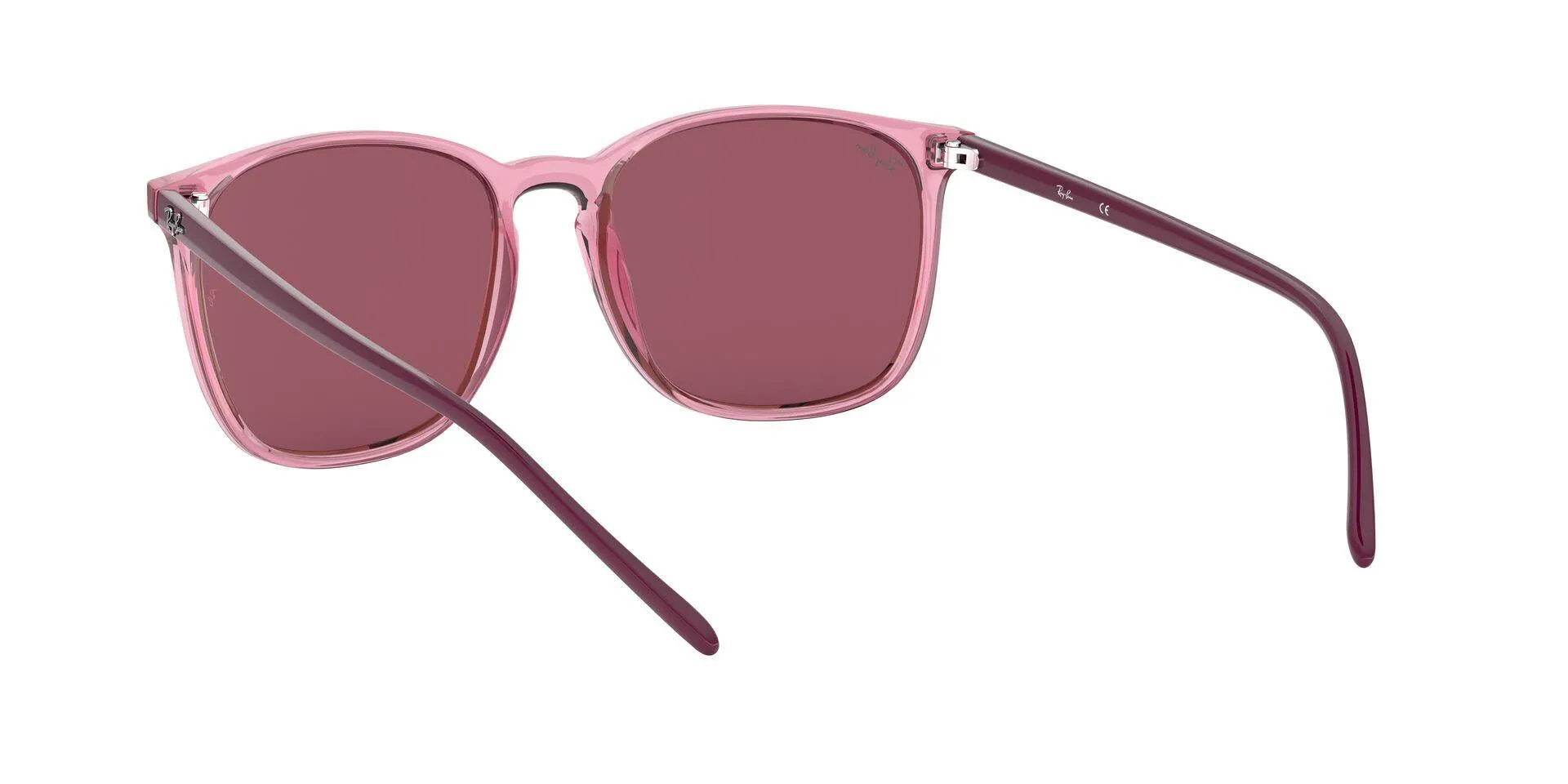 Ray-Ban 4387F Sunglasses