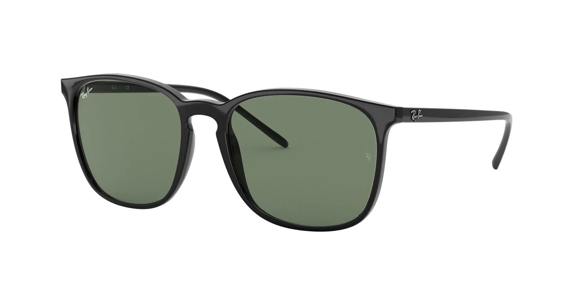 Ray-Ban 4387F Sunglasses
