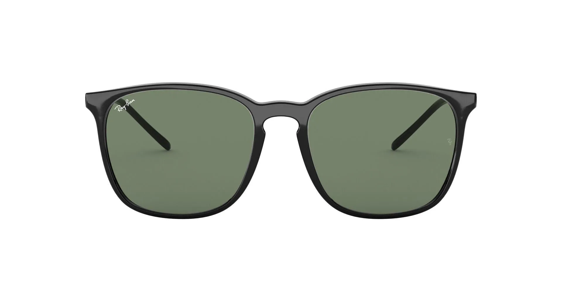 Ray-Ban 4387F Sunglasses
