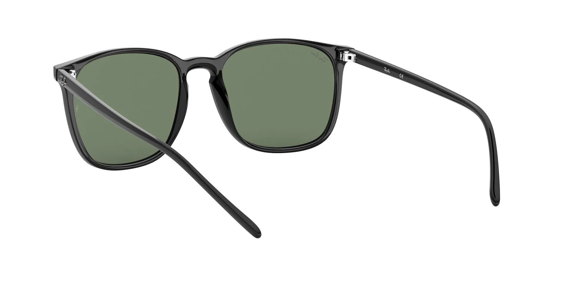 Ray-Ban 4387F Sunglasses