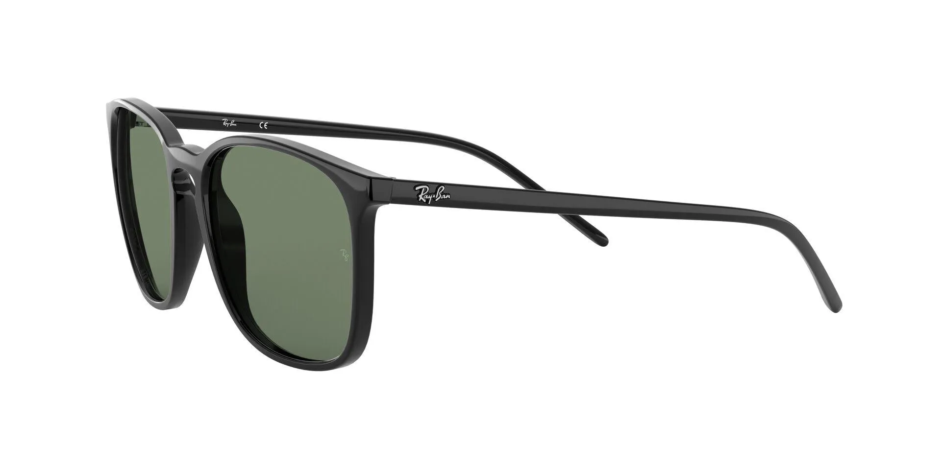 Ray-Ban 4387F Sunglasses