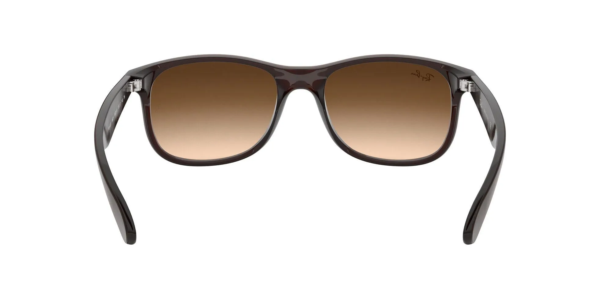 Ray-Ban Andy 4202 Sunglasses