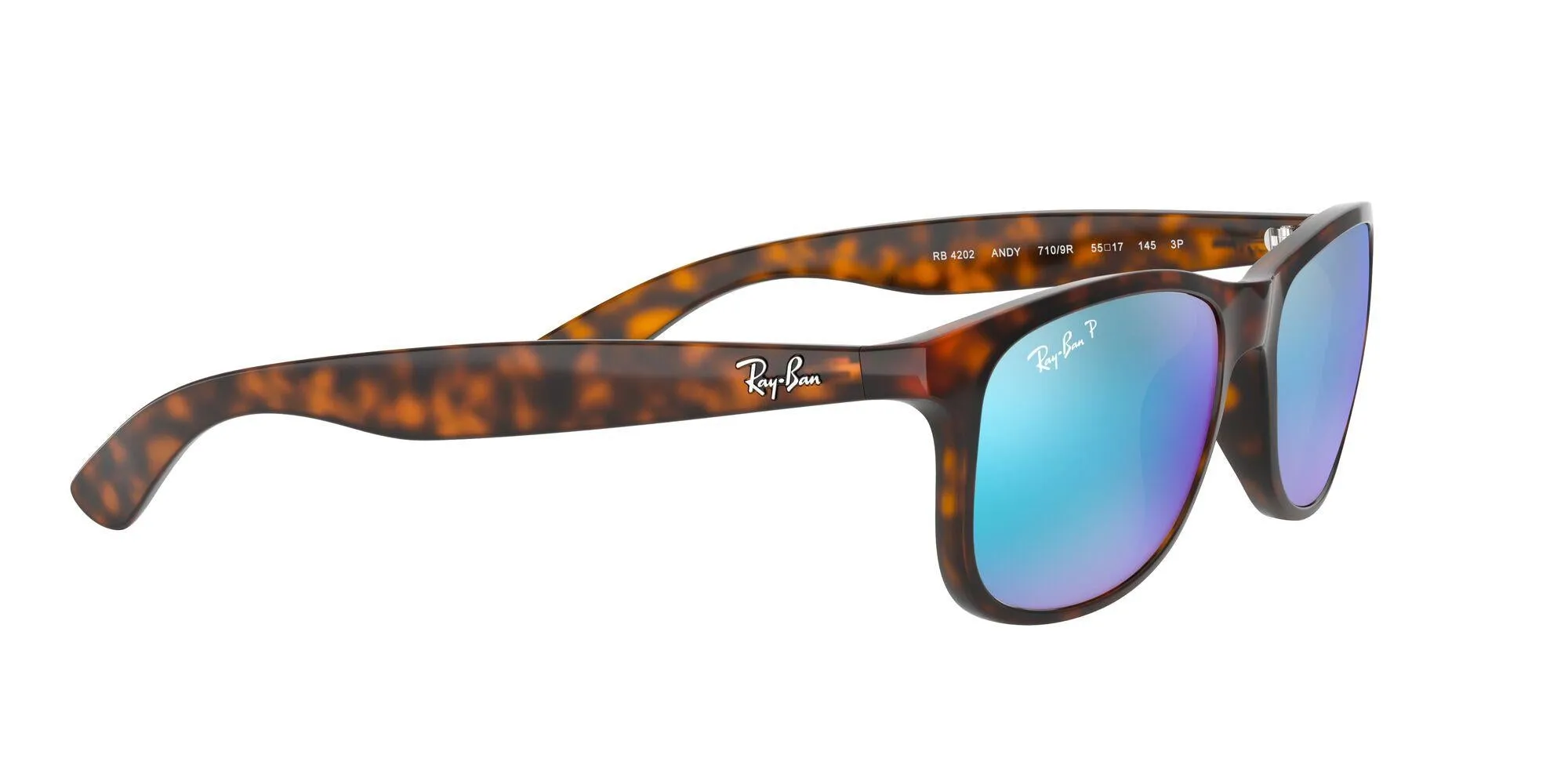 Ray-Ban Andy 4202 Sunglasses