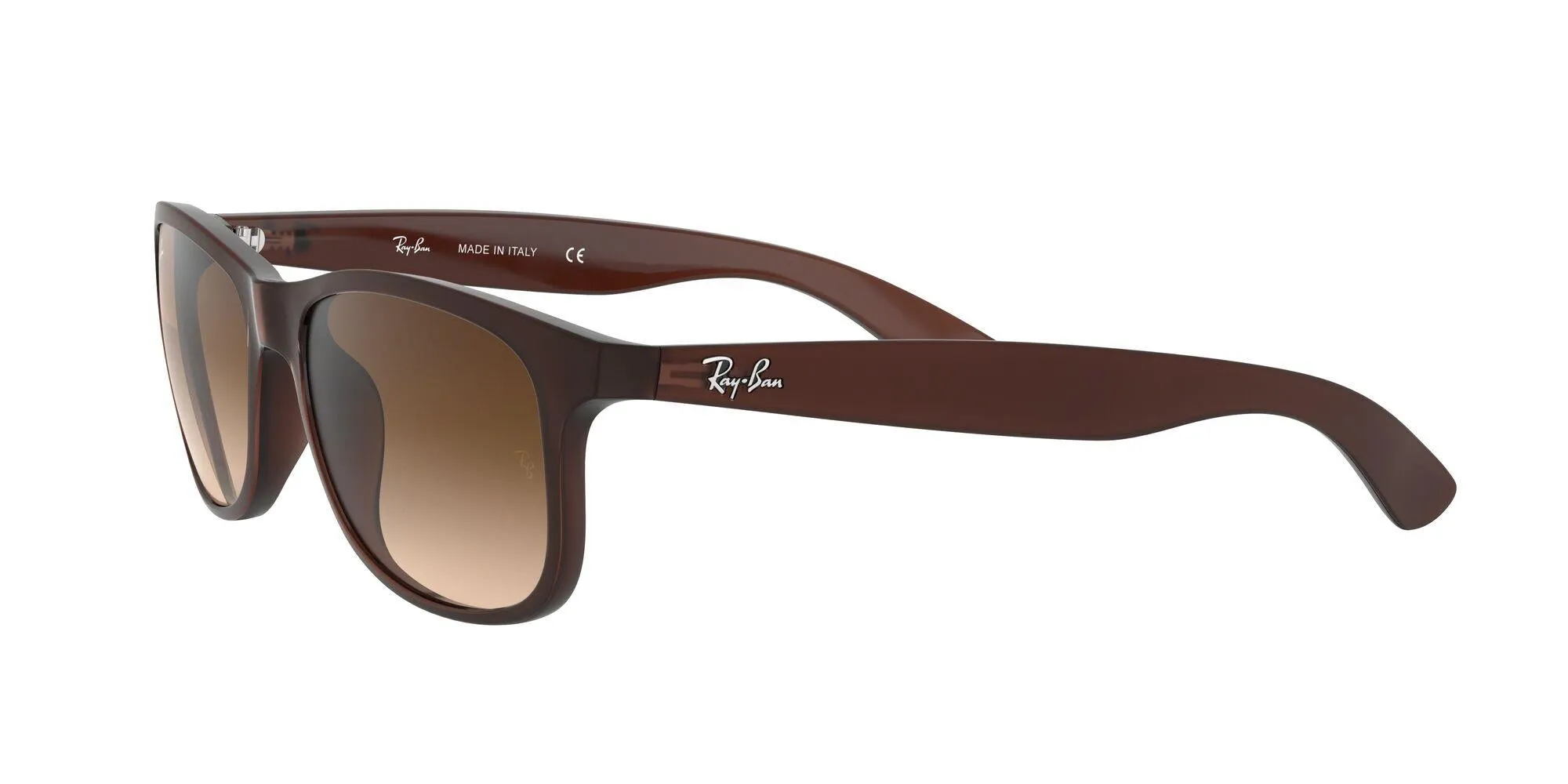 Ray-Ban Andy 4202 Sunglasses