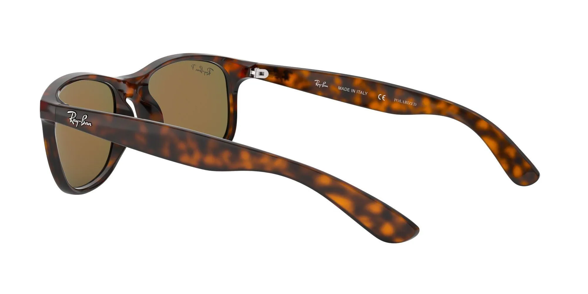 Ray-Ban Andy 4202 Sunglasses