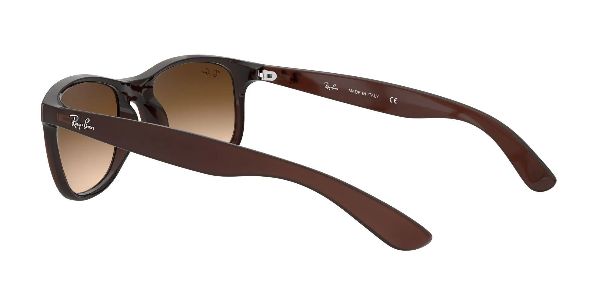 Ray-Ban Andy 4202 Sunglasses