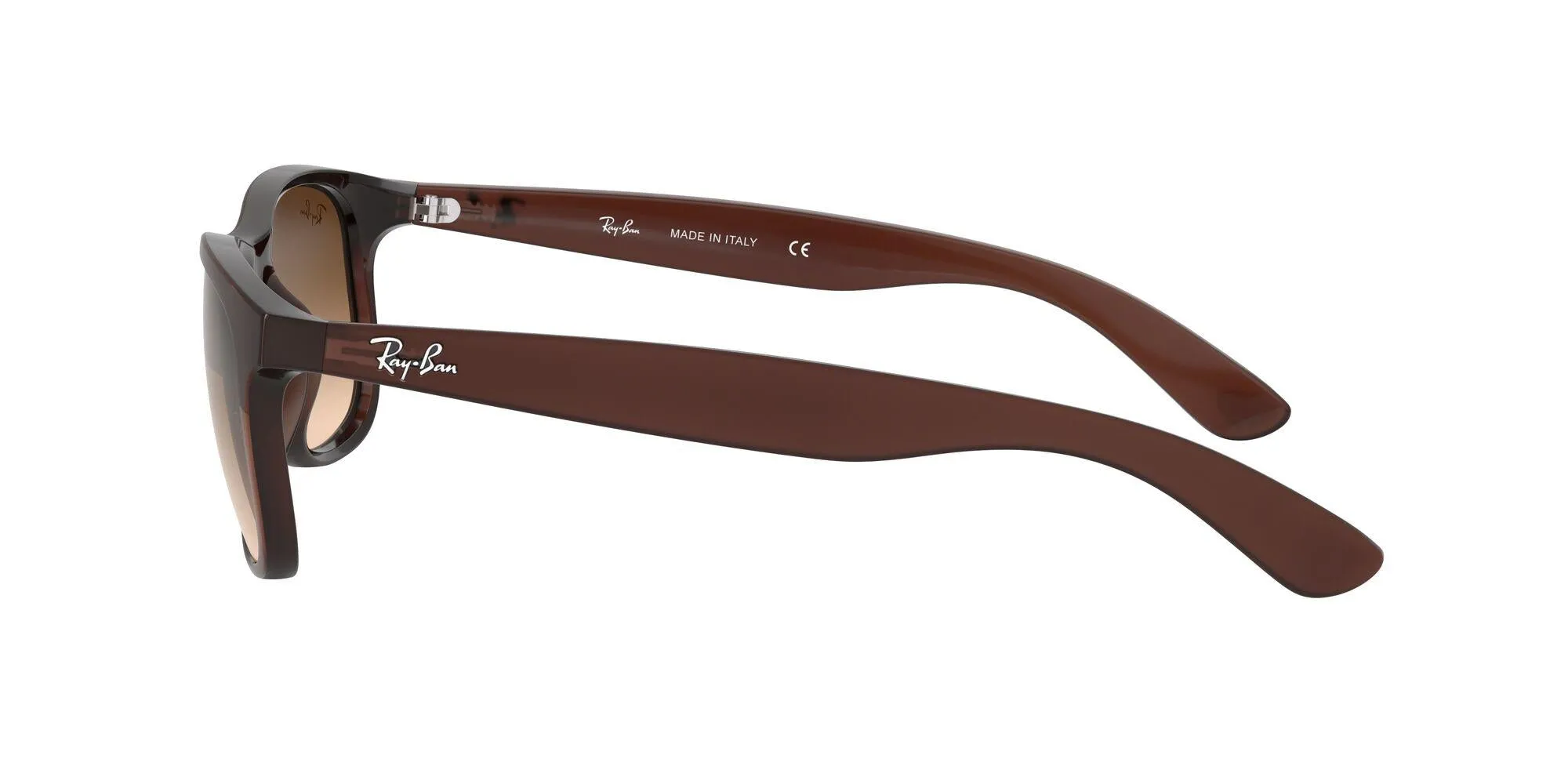 Ray-Ban Andy 4202 Sunglasses