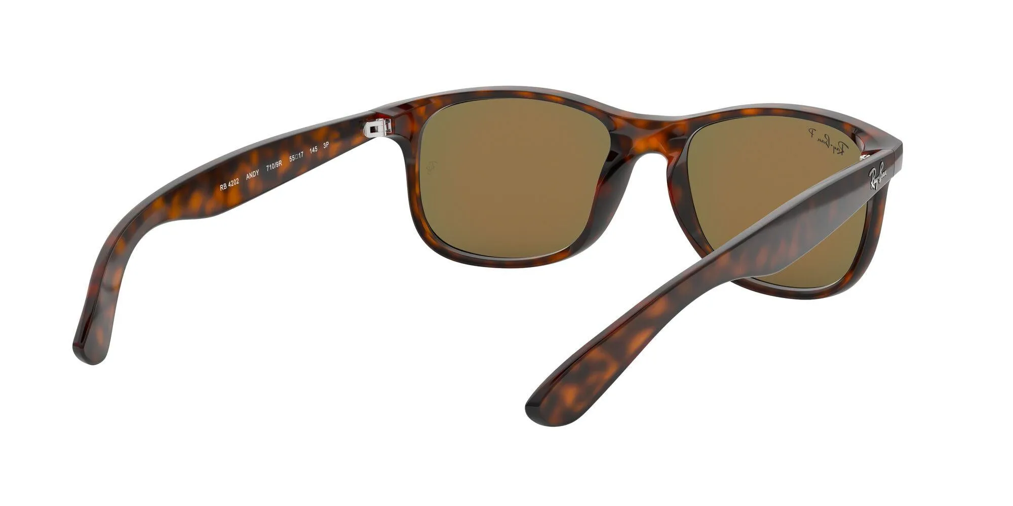 Ray-Ban Andy 4202 Sunglasses