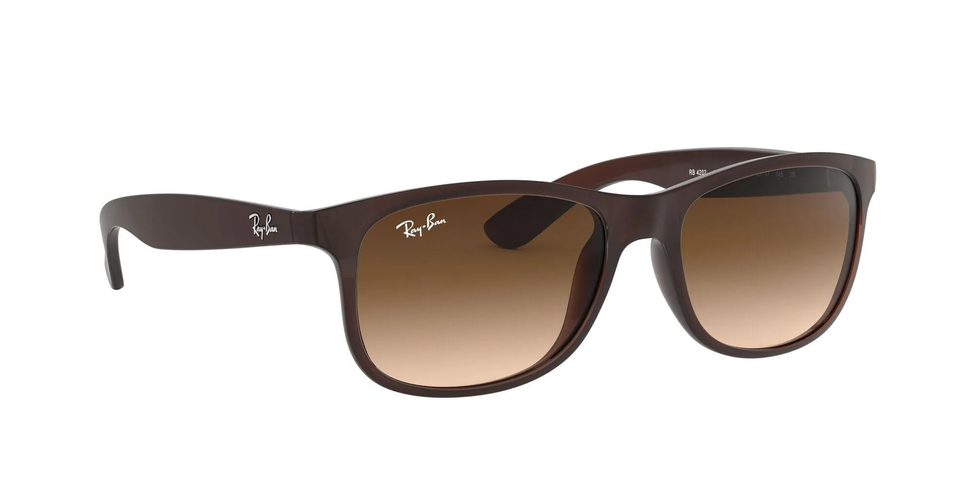 Ray-Ban Andy 4202 Sunglasses
