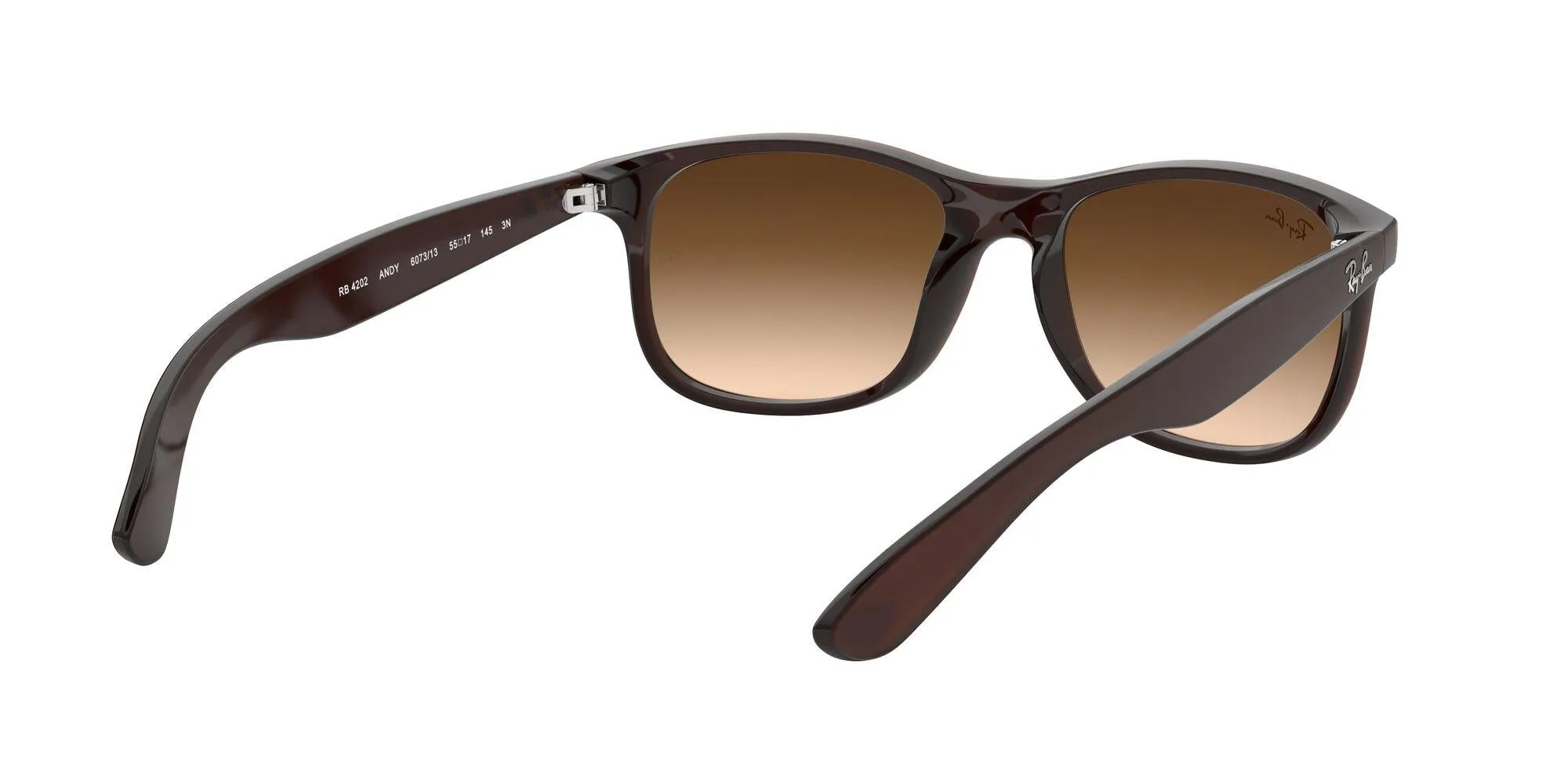 Ray-Ban Andy 4202 Sunglasses