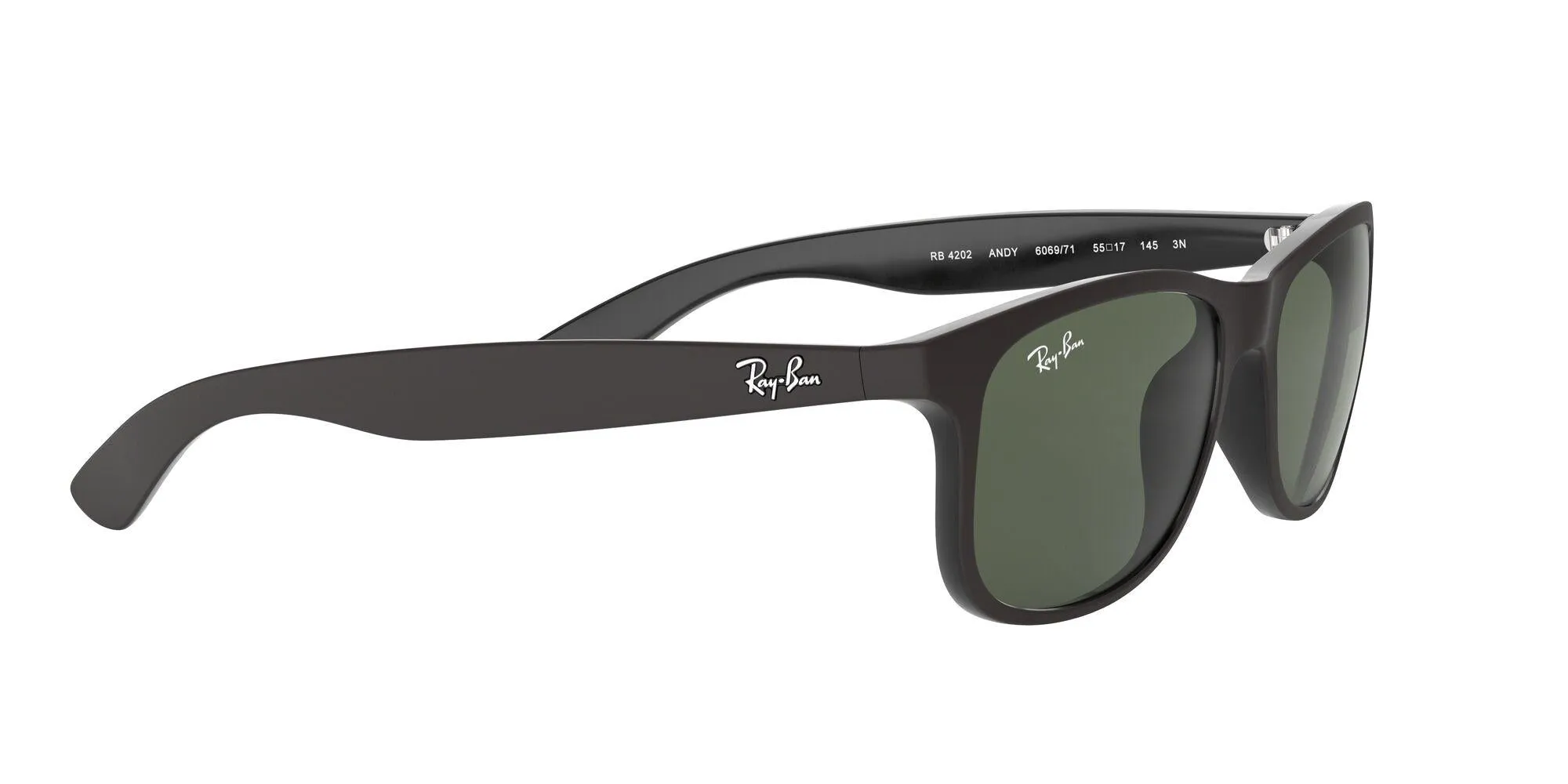 Ray-Ban Andy 4202 Sunglasses