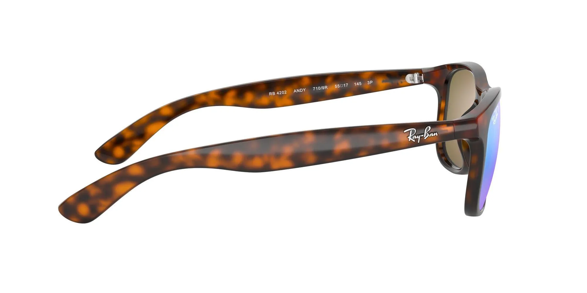 Ray-Ban Andy 4202 Sunglasses