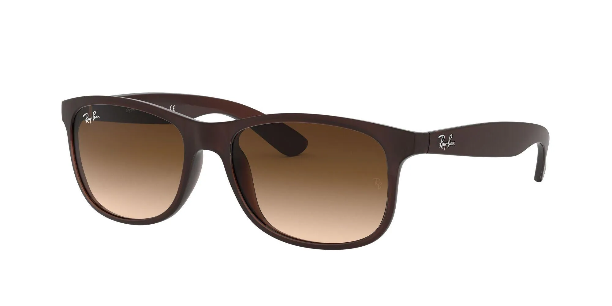 Ray-Ban Andy 4202 Sunglasses