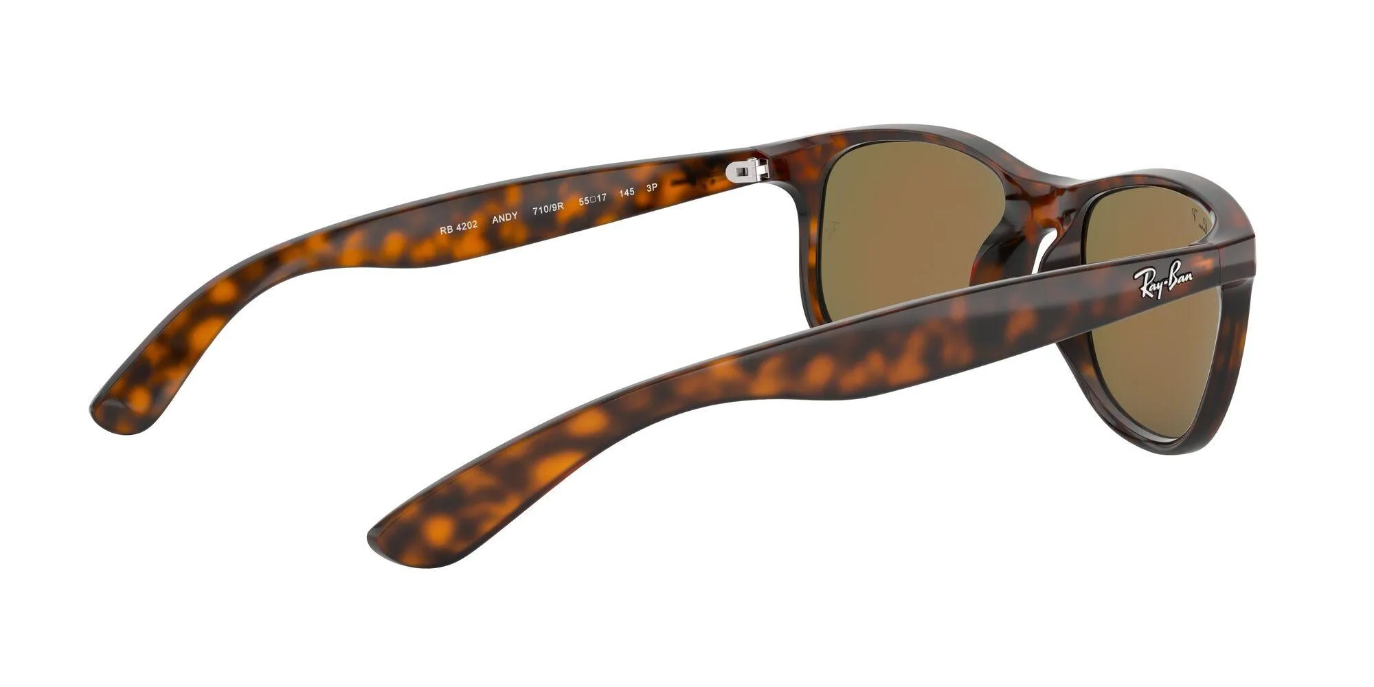 Ray-Ban Andy 4202 Sunglasses