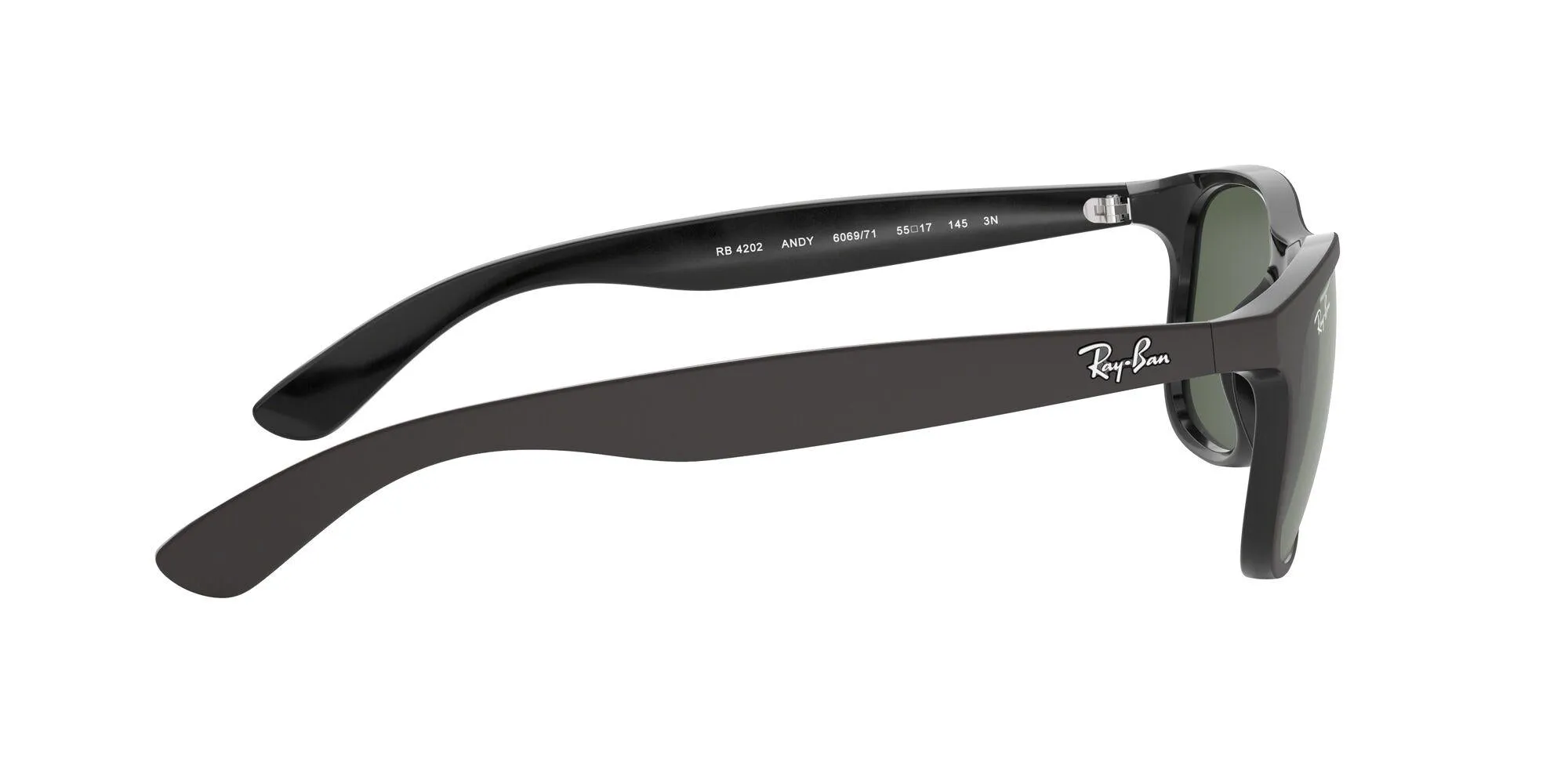 Ray-Ban Andy 4202 Sunglasses
