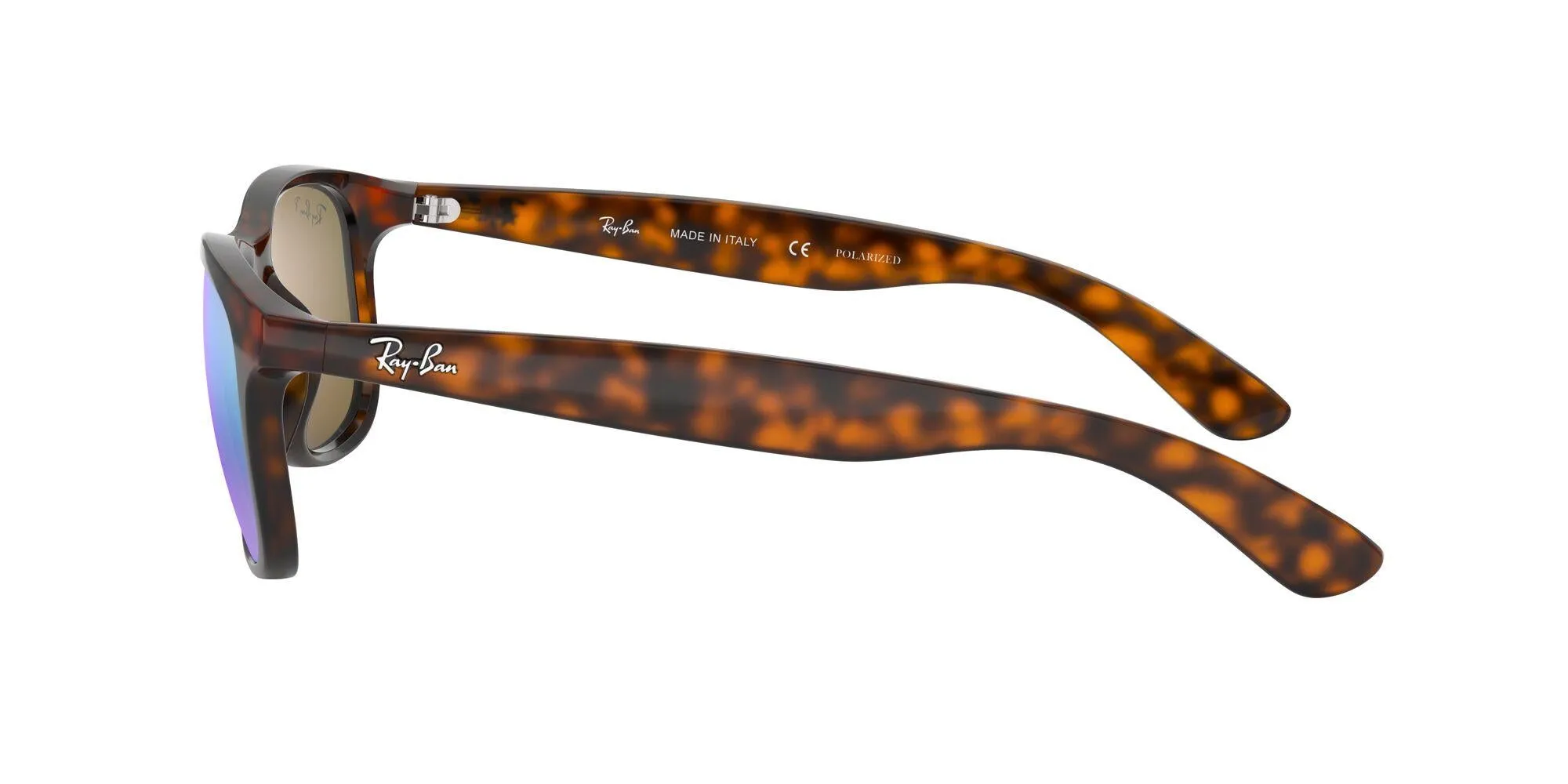 Ray-Ban Andy 4202 Sunglasses