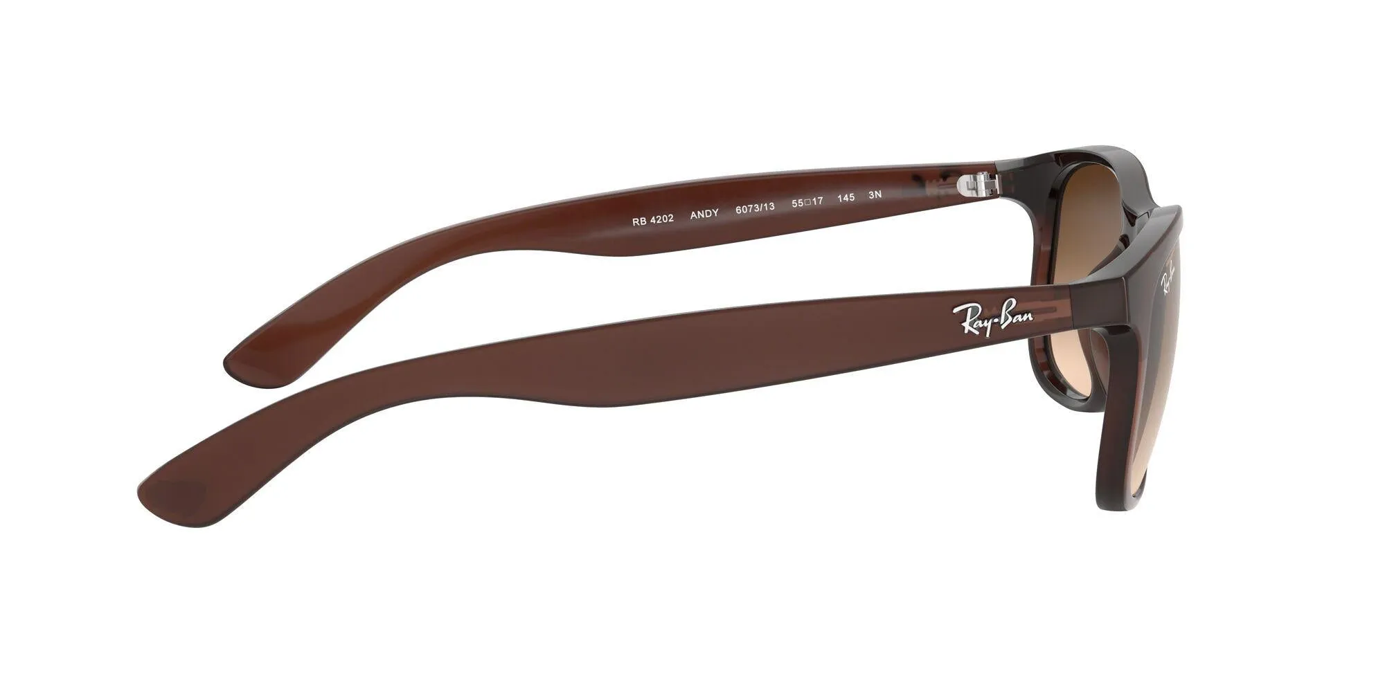 Ray-Ban Andy 4202 Sunglasses