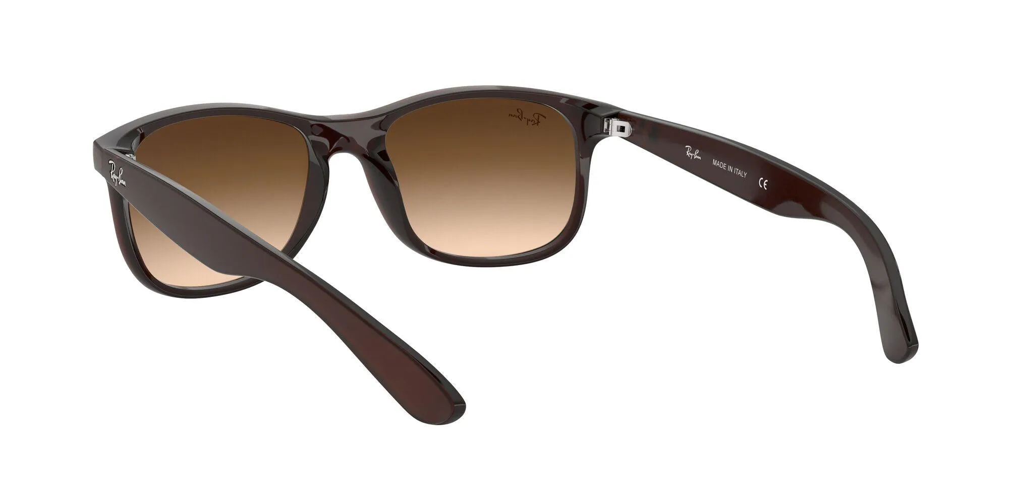 Ray-Ban Andy 4202 Sunglasses