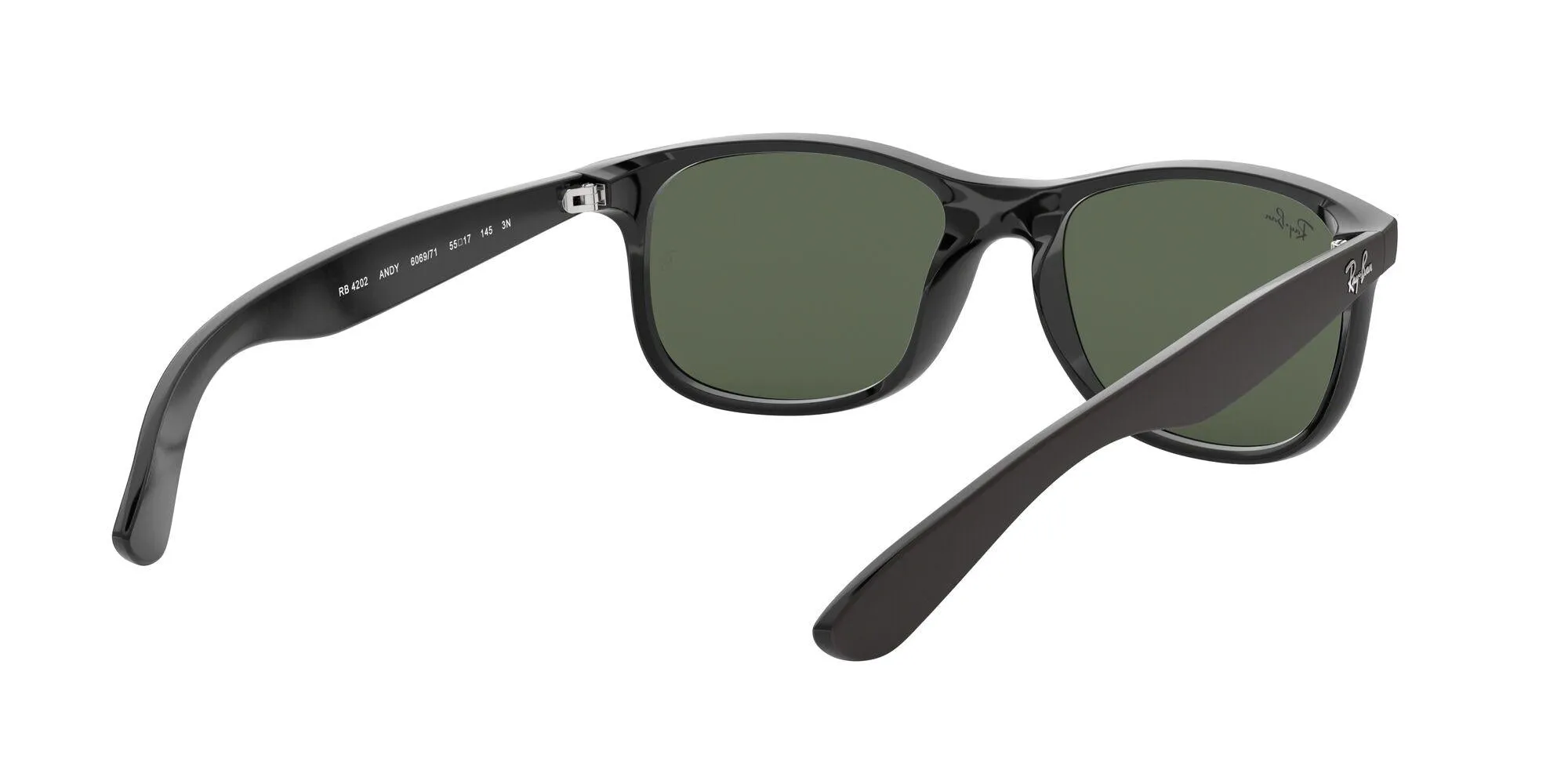 Ray-Ban Andy 4202 Sunglasses