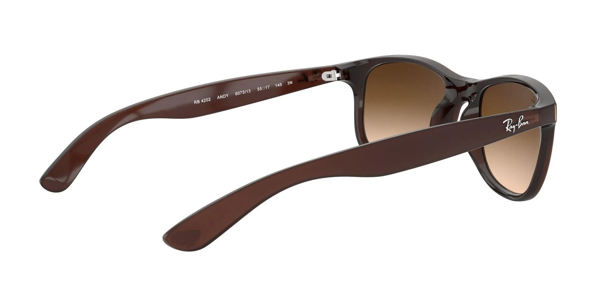 Ray-Ban Andy 4202 Sunglasses