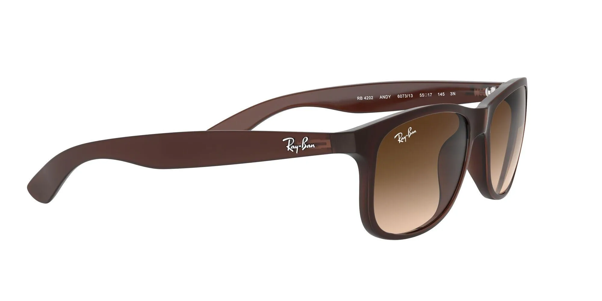 Ray-Ban Andy 4202 Sunglasses