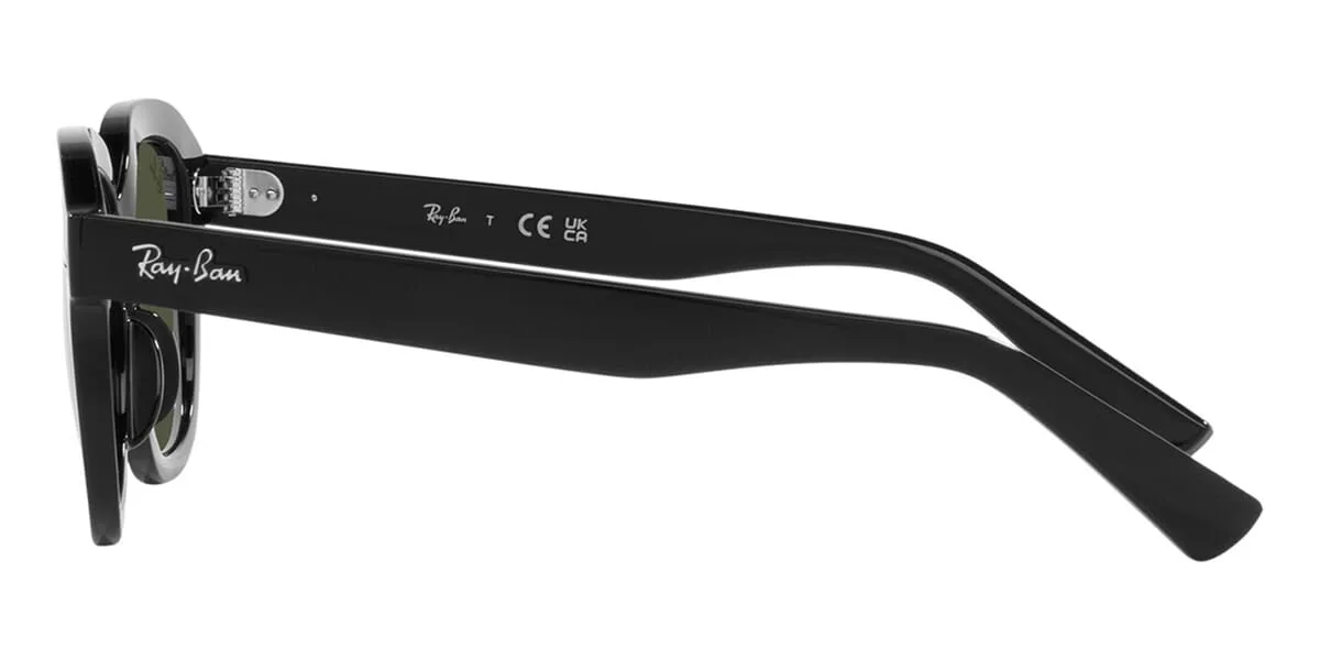 Ray-Ban Erik RB 4398 901/31