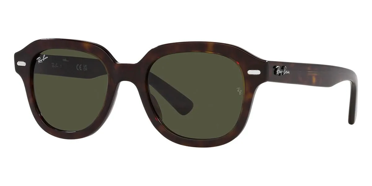 Ray-Ban Erik RB 4398 902/31